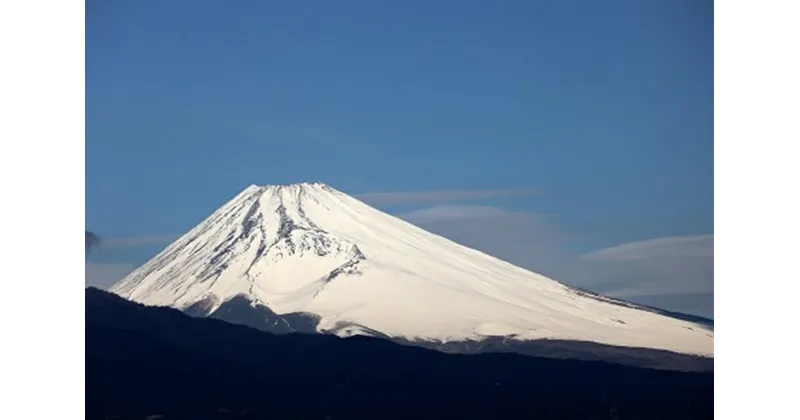 【ふるさと納税】空き家管理サービス+ゴミなんでも相談(月1回×6ヶ月 6回分)＜三島市内対象＞【空き家管理サービス+ゴミなんでも相談(月1回×6ヶ月 6回分) 三島市内対象 ココロの絆が安心につながる 建物外部目視点検、庭木の確認、郵便物確認 静岡県 三島市 】