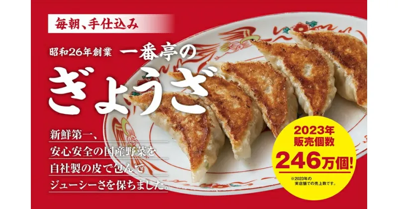 【ふるさと納税】一番亭の 冷凍餃子 42個セット + 正油らーめん 2食セット【ぎょうざ 一番亭 冷凍 餃子 42個 セット 正油 醤油 しょうゆ ラーメン らーめん 2食セット スタンダードセット 一番亭の 餃子 は毎朝手仕込み 静岡県 三島市 】