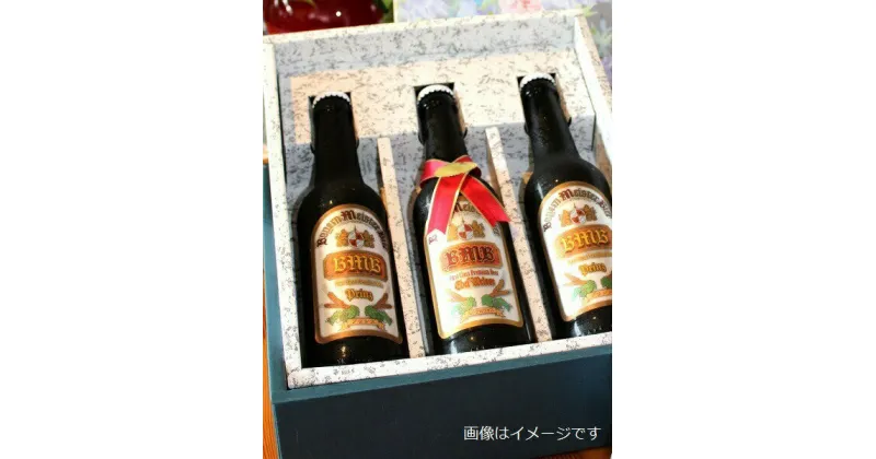 【ふるさと納税】富士山の水を使った地ビール バイエルンマイスタービール ギフト3本セット　330ml 瓶 ビール 地ビール 送料無料 静岡県 富士宮市