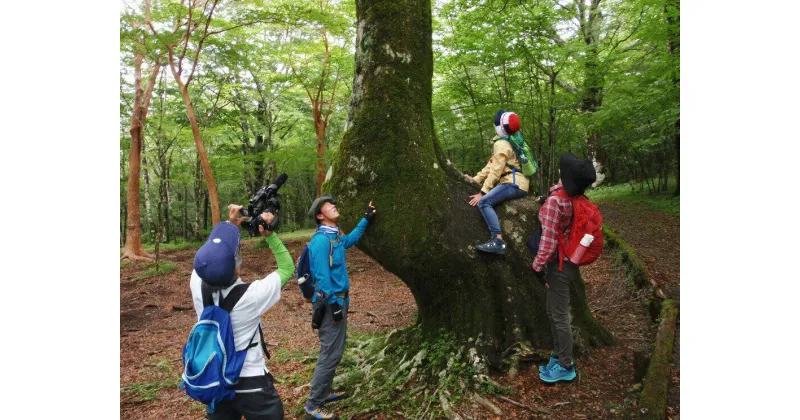 【ふるさと納税】富士山の森トレッキング　大人2名コース　体験 自然 ガイド付き エコツアー　送料無料 静岡県 富士宮市