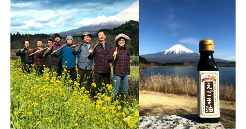 【ふるさと納税】富士山麓オーガニックファーマーズ　旬の野菜＋えごま油セット　送料無料 静岡県 富士宮市