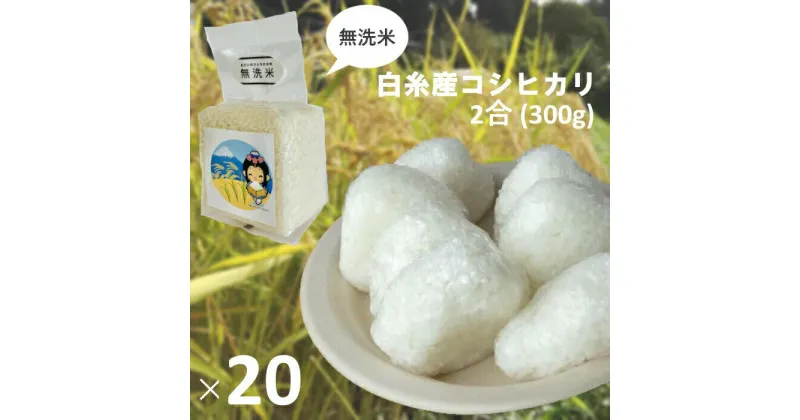 【ふるさと納税】【無洗米】 白糸産コシヒカリ 2合(300g)×20個　お米 白糸コシヒカリ 計量済み 小分け 送料無料 静岡県 富士宮市