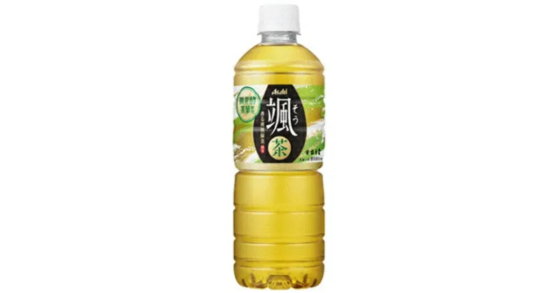 【ふるさと納税】アサヒ 「颯」 600ml×24本　お茶 緑茶 ペットボトル 香り そう アサヒ飲料 富士山工場 すっきり ふるさと納税 ふるさと 送料無料 静岡県 富士宮市