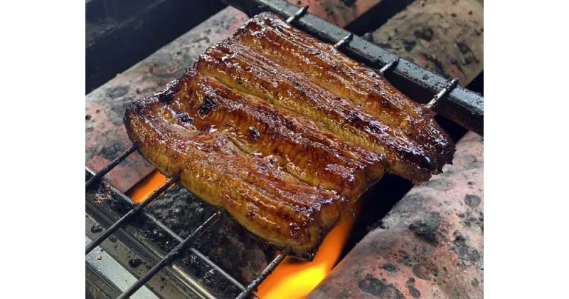 【ふるさと納税】うなぎ浜名亭 うなぎ蒲焼4人前