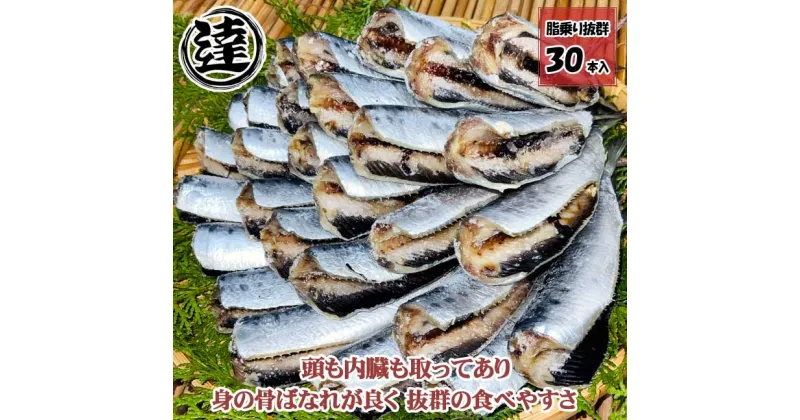 【ふるさと納税】伊豆・伊東 丸達水産 ボリューム満点！いわし丸干30本セット