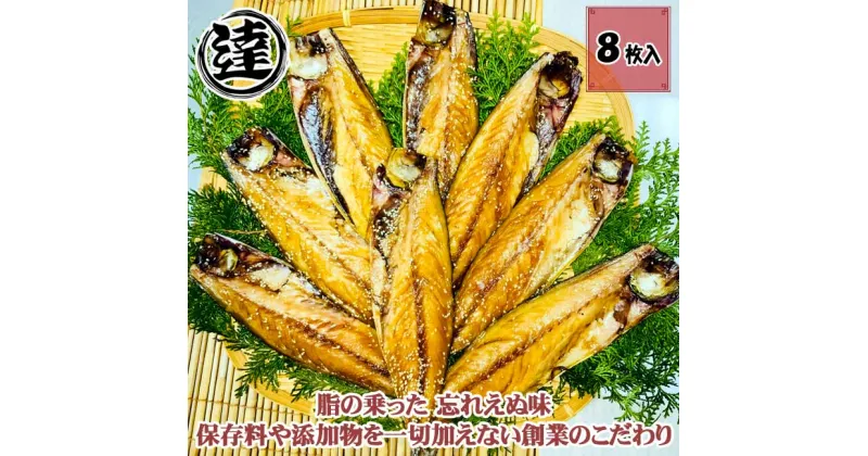 【ふるさと納税】伊豆・伊東 丸達水産 人気No1ふんわりさばみりん干し 8枚