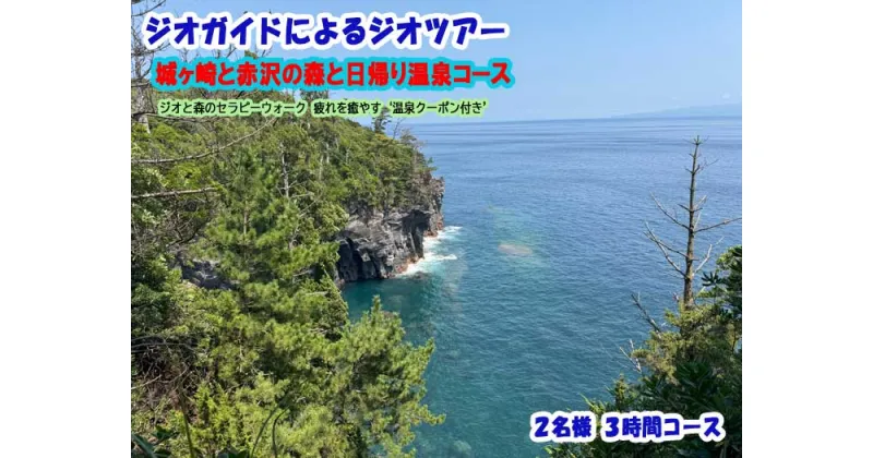 【ふるさと納税】ジオガイドによるジオツアー 城ヶ崎と赤沢の森、日帰り温泉コース 2名様 3時間コース