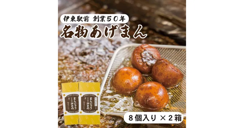 【ふるさと納税】《創業50年》伊東駅前名物の揚げまんじゅう8個入×2箱