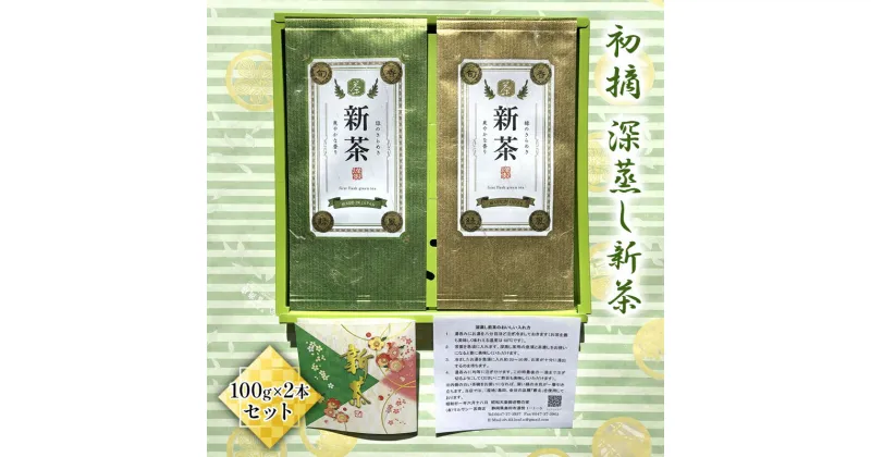 【ふるさと納税】【2025年新茶先行予約】初摘　深蒸し新茶100g×2本セット【2025年5月上旬以降より順次発送】　お茶・緑茶　お届け：2025年5月上旬～8月中旬