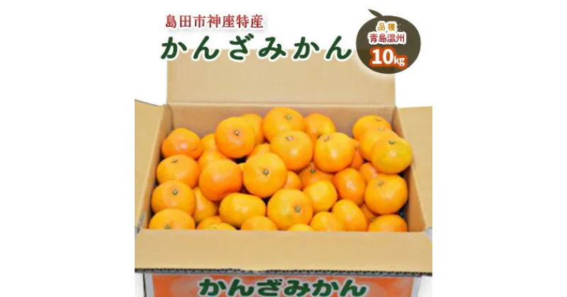 【ふるさと納税】みかん 10kg 島田市神座特産 かんざみかん 青島温州 フルーツ 果物 くだもの 旬のフルーツ 旬の果物 温州みかん 柑橘 柑橘類 静岡 静岡県 島田市　お届け：2025年1月下旬～2月中旬