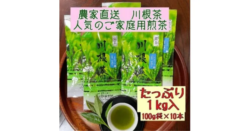 【ふるさと納税】川根茶 ご家庭用 普通煎茶やまびこ1kg (100g袋×10袋セット)　 お茶 緑茶 川根産 煎茶 やまびこ 南アルプス 高級茶 自家製茶園 家庭用 1kg 10袋セット