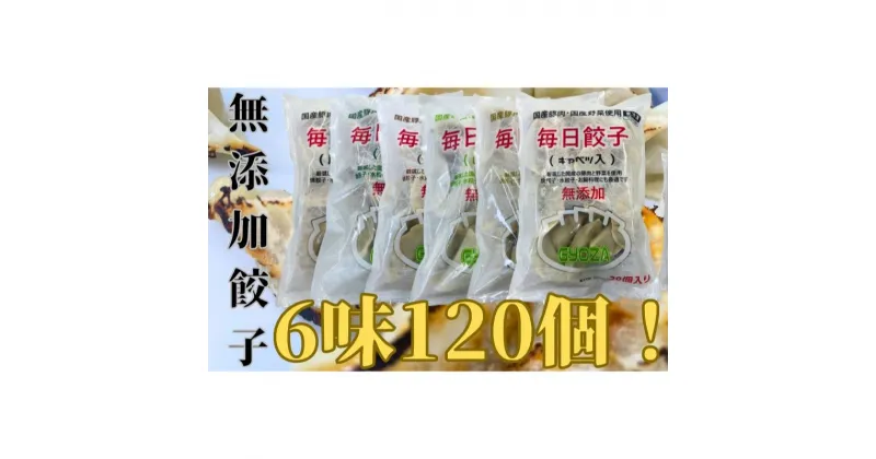 【ふるさと納税】安心安全の無添加冷凍ぎょうざ！6種（キャベツ・唐辛子・ニンニク・野菜・レタス・生姜）合計120個！　 加工食品 惣菜 冷凍惣菜 おかず 中華 国産豚肉 国産野菜 無添加 鍋料理