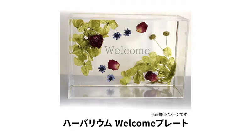 【ふるさと納税】ハーバリウム Welcomeプレート　インテリア ハンドメイド 雑貨　 小物 手作業 世界に一つ ハンドメイド作品 かわいい 贈り物 置物