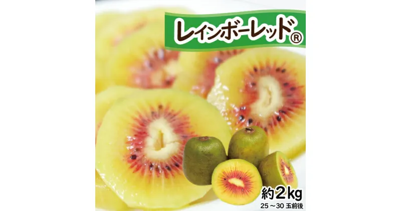 【ふるさと納税】 【先行受付】 キウイフルーツ（レインボーレッド®）2kg 極旨 高糖度 詰め合わせ 25～30玉前後 期間限定 (a1525) [sf001-087]