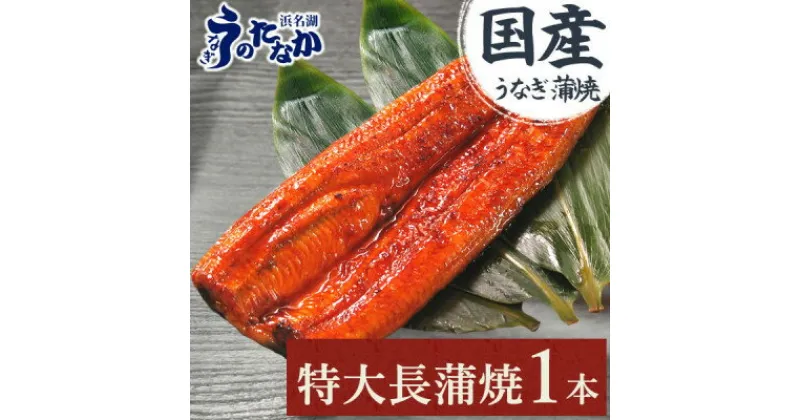 【ふるさと納税】浜名湖・うなぎのたなかの特大サイズ1本!ふっくら柔らか♪国産うなぎ長蒲焼※合計180g程度_ ウナギ 鰻 うなぎ かば焼き 蒲焼き 人気 美味しい 国産 浜名湖 産地直送 個包装 ギフト 贈答 専門店 【配送不可地域：離島】【1417602】