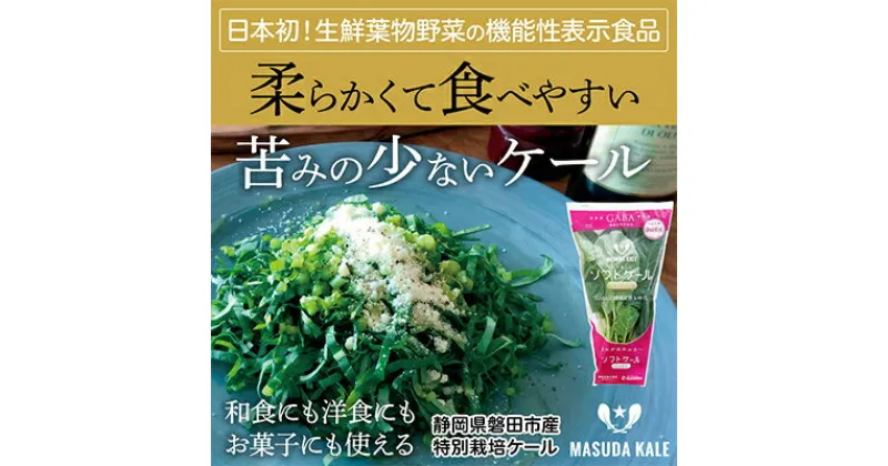 【ふるさと納税】【毎月定期便】やわらかくて食べやすい苦みの少ないケール【静岡県磐田市産 特別栽培】全12回【配送不可地域：離島】【4003773】