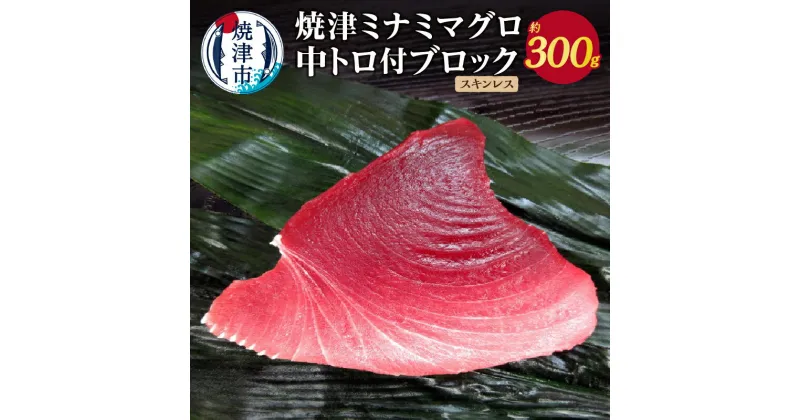 【ふるさと納税】 まぐろ ブロック ミナミマグロ 中トロ付ブロック スキンレス 約300g 天然 魚 冷凍 焼津 a11-049