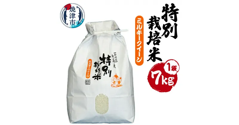 【ふるさと納税】 新米 令和6年産 米 ミルキークイーン お米 白米 ごはん 精米 焼津 7kg×1袋 特別栽培米 安心 安全 a15-217