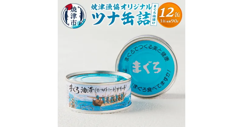 【ふるさと納税】 缶詰 ツナ缶 まぐろ 油漬け 12缶入 漁協 オリジナル ツナ缶詰 ソリッド 常温 化粧箱入り 贈答 プレゼント 長期保存 備蓄 魚 焼津 a12-163