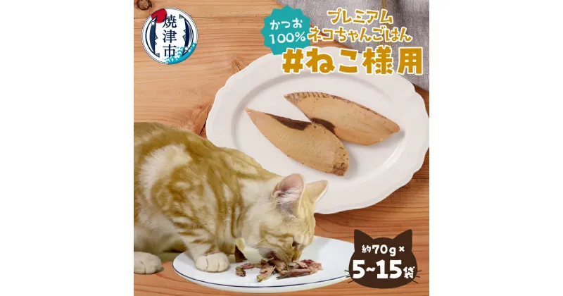 【ふるさと納税】 ペットフード ペット用品 キャットフード 猫用 無添加 かつお ペット 猫 セット 焼津 5袋 8袋 10袋 15袋 【選べる容量】 a16-134