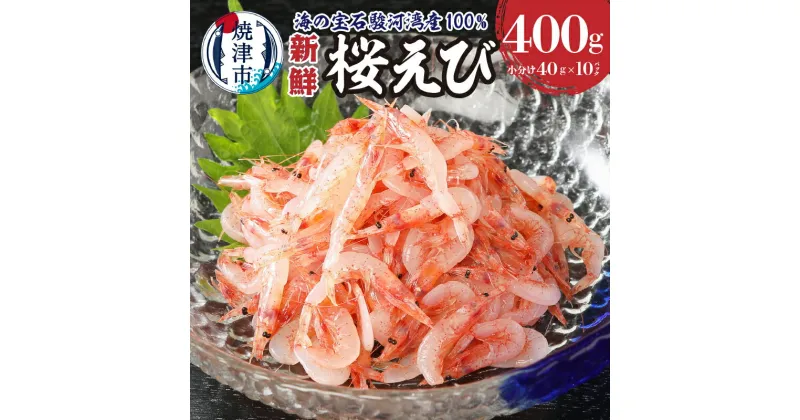 【ふるさと納税】 桜えび 生 刺身 魚 冷凍 天然 焼津 約40g×10パック 静岡県漁連 a10-420