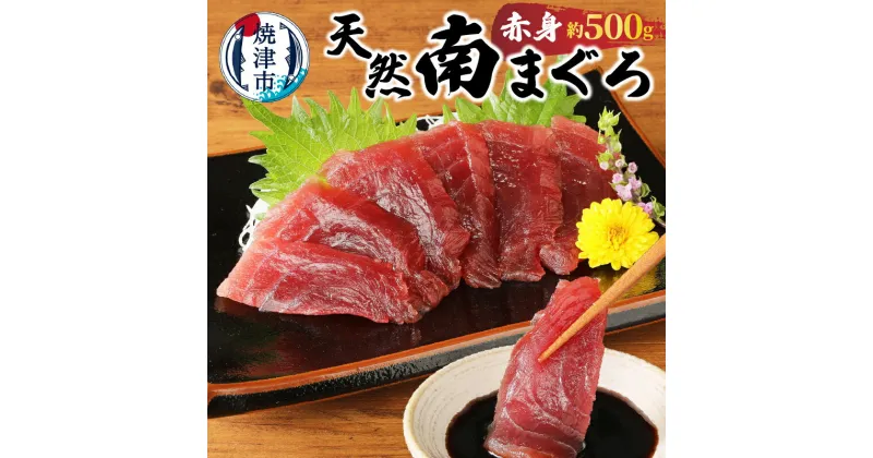 【ふるさと納税】 まぐろ 赤身 刺身 冷凍 約500g 港水揚げ 南まぐろ 魚 焼津 解凍方法レシピ付 a10-430