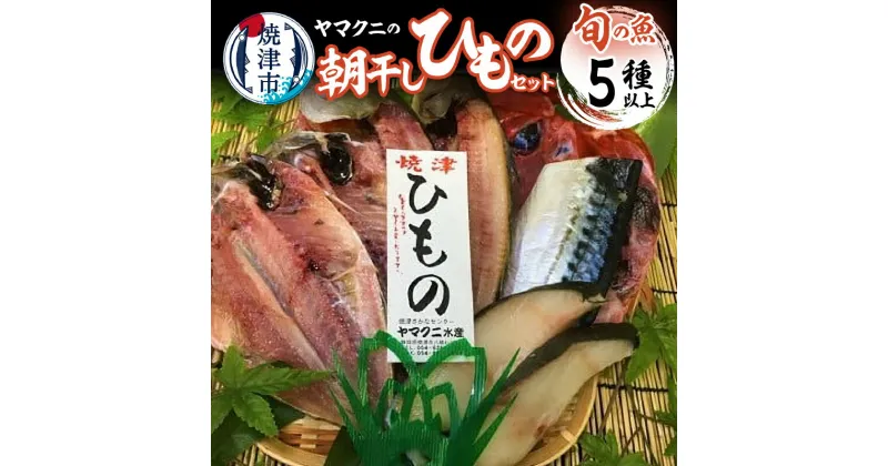 【ふるさと納税】 干物 朝干し セット 5種以上 おまかせ 旬 天然 魚 塩糀漬け 無添加 冷蔵 焼津 干したて a10-431