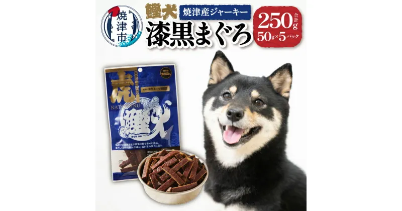 【ふるさと納税】 ドッグフード ペットフード 無添加 犬用 おやつ 鰹犬 焼津産 鮪 ジャーキー 50g×5袋 焼津 a12-018