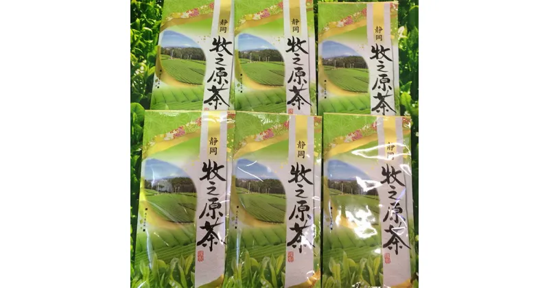 【ふるさと納税】 緑茶 お茶 焼津 茶葉 100g×6本 牧之原茶 6本セット a12-029