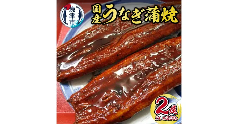 【ふるさと納税】 うなぎ 国産 蒲焼き 冷凍 焼津 約200g×2尾 たれ・山椒付き スギヤマ a15-337