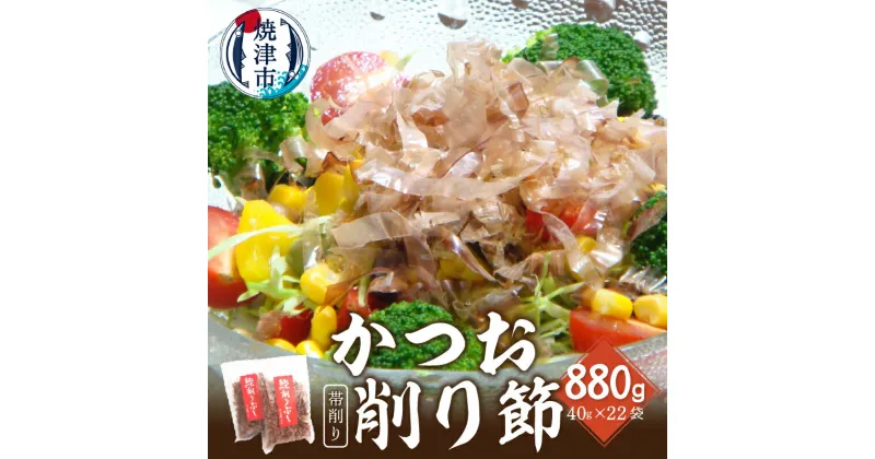 【ふるさと納税】 鰹節 削り節 帯削り 焼津産 40g入×22袋 加工品 だし a19-033