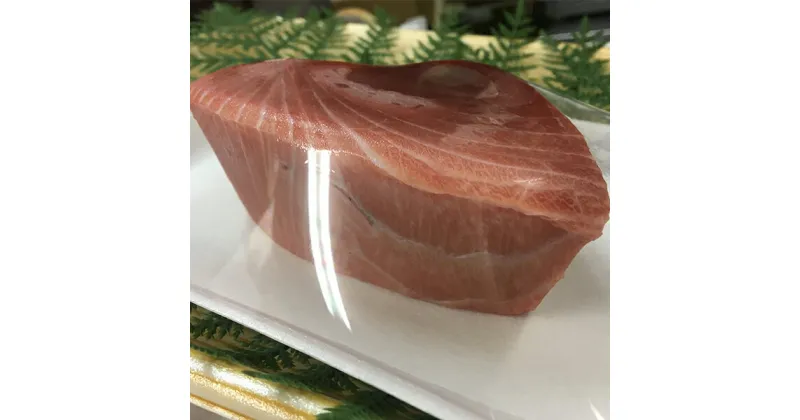 【ふるさと納税】 まぐろ 中トロ 魚 冷凍 焼津 ブロック 約300g 南まぐろ 中トロブロック a15-353