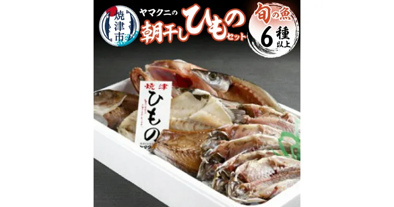 【ふるさと納税】 干物 朝干し セット 6種以上 おまかせ 旬 天然 魚 塩糀漬け 無添加 冷蔵 焼津 干したて a15-383