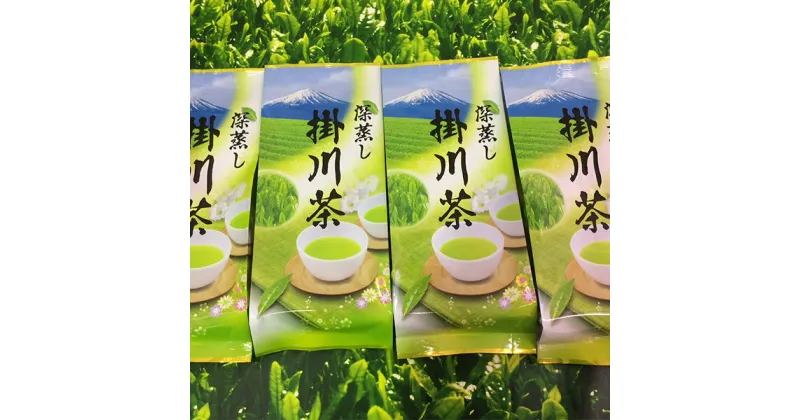 【ふるさと納税】 お茶 緑茶 茶葉 焼津 静岡 掛川茶 深蒸し茶 200g×4本 a17-011