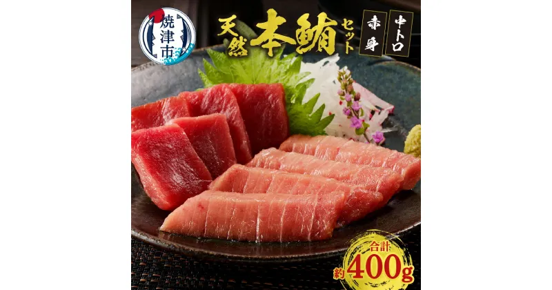 【ふるさと納税】 まぐろ 中トロ 赤身 柵 冷凍 約400g 鮪専門問屋 天然 本鮪 詰め合わせ 焼津 a17-020