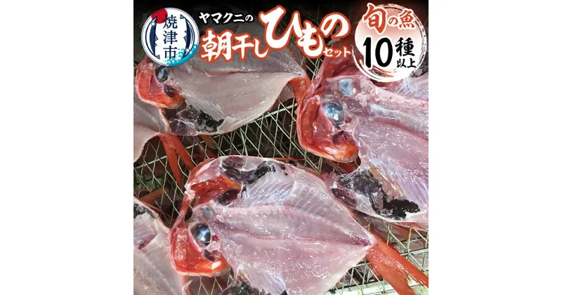 【ふるさと納税】 干物 朝干し セット 10種以上 おまかせ 旬 天然 魚 塩糀漬け 無添加 冷蔵 焼津 干したて a30-176