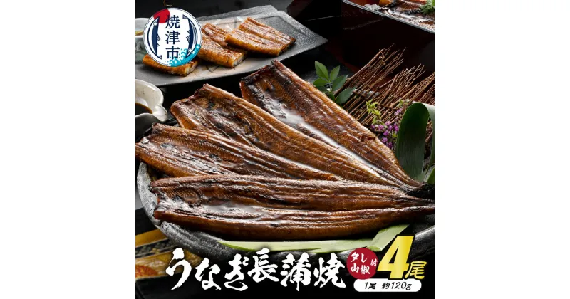 【ふるさと納税】 うなぎ 鰻 冷凍 焼津 うなぎ長蒲焼 約120g×4尾 たれ・山椒 4袋 静岡産 うなぎ長蒲焼「静生旅鰻」 a40-070