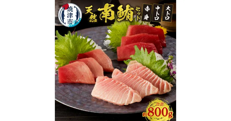 【ふるさと納税】 まぐろ 大トロ 中トロ 赤身 柵 冷凍 約800g 天然南鮪 セット 焼津 a40-076