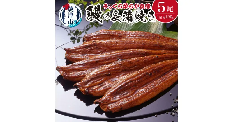 【ふるさと納税】 鰻 うなぎ 長蒲焼き 長焼き 蒲焼き 詰合せ 焼津 魚 冷凍 養殖 約120g×5尾 たれ・山椒付 a50-085