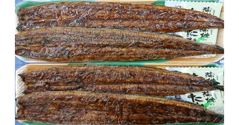 【ふるさと納税】 鰻 うなぎ 魚 冷凍 焼津 約160g×4 うなぎ長焼き 4本セット 父の日 ギフト プレゼント a30-182