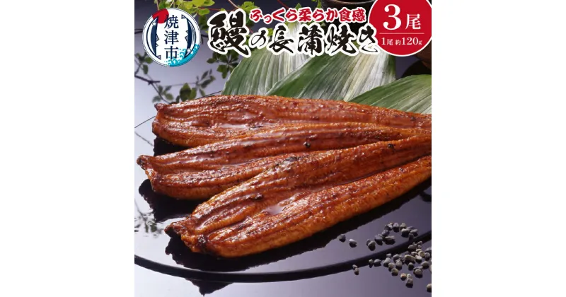 【ふるさと納税】 うなぎ 魚 鰻 長蒲焼き 長焼き 蒲焼き 冷凍 焼津 約120g×3尾 詰合せ たれ・山椒 a29-002