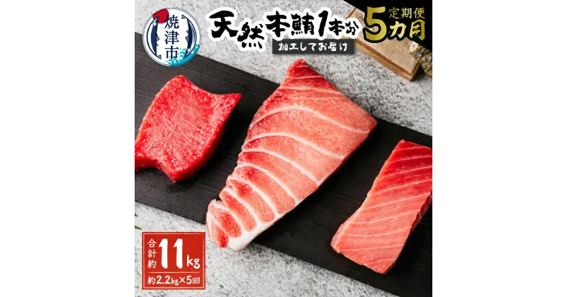 【ふるさと納税】 定期便 まぐろ 魚 冷凍 焼津 大トロ 中トロ 赤身 まぐろたたき 総量約2kg 【定期便5回】 天然 本鮪 一本分を加工してお届け 刺身に 海鮮丼に b50-011