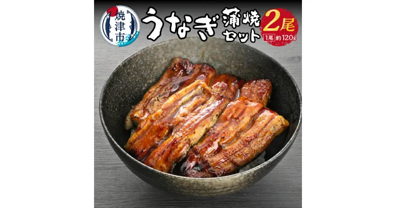 【ふるさと納税】 鰻 うなぎ 蒲焼 真空包装 冷凍 焼津 うなぎ蒲焼 約120g×2尾 老舗店 うな鐵 たれ 山椒付 a15-435