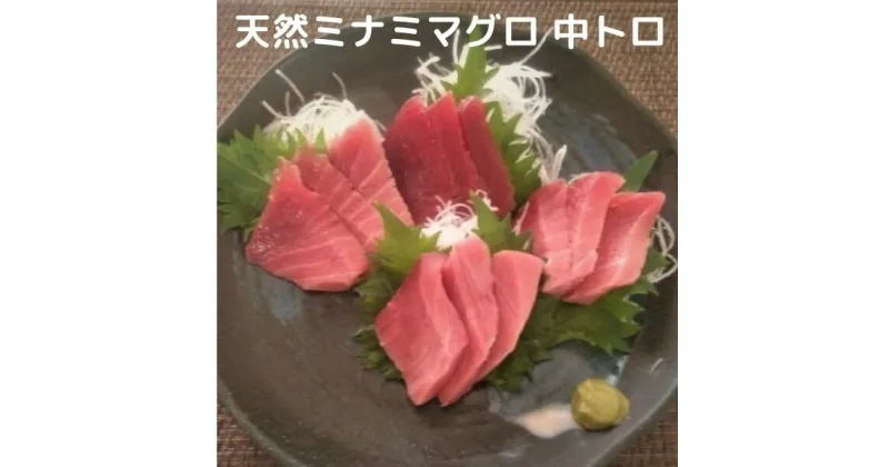 【ふるさと納税】 まぐろ 中トロ 赤身 ブロック 刺身 寿司 海鮮丼 天然 南 鮪 600g 入り セット 魚 焼津 a20-285