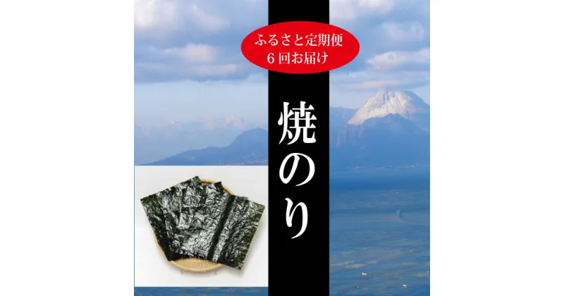 【ふるさと納税】 海苔 焼のり 焼津 【定期便 6回】 初摘み 極 全型30枚 ギフト プレゼント 贈答 a65-039