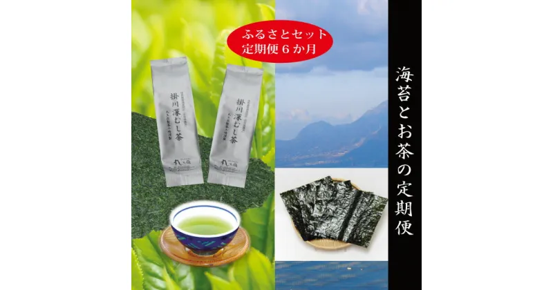 【ふるさと納税】 訳あり 定期便 お茶 海苔 セット 焼津 【定期便6回】 掛川深蒸し茶 九州有明産 焼のり 詰合せ a85-001