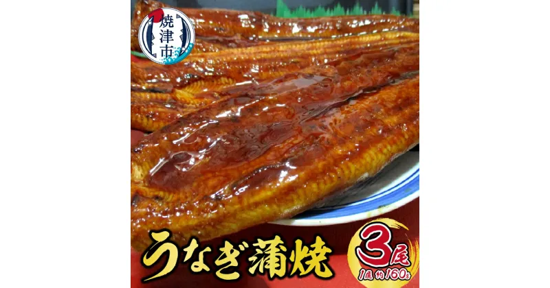 【ふるさと納税】 うなぎ 国産 蒲焼き たれ付き 山椒付き 約160g×3尾 肉厚 おかず 冷凍 焼津 a19-040