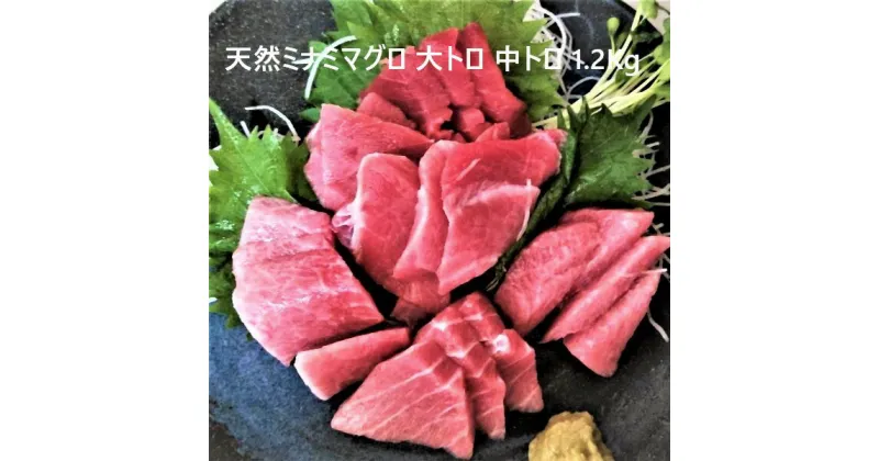 【ふるさと納税】 まぐろ 大トロ 中トロ 赤身 ブロック 刺身 寿司 海鮮丼 天然 ミナミ 詰合せ 約1.2kg 魚 焼津 a33-005