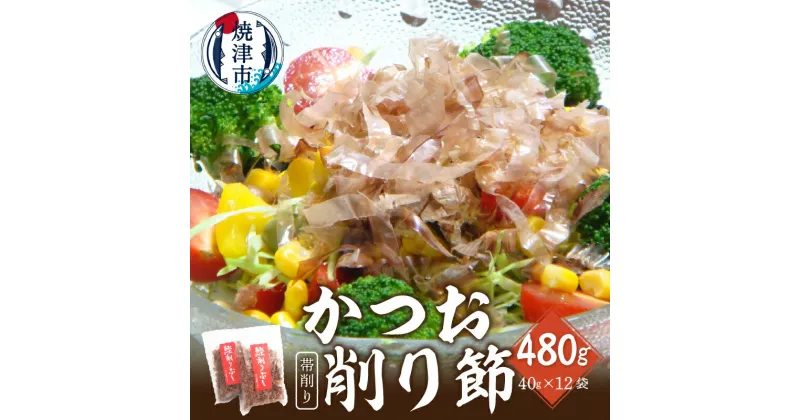 【ふるさと納税】 鰹節 削り節 帯削り 焼津産 40g入×12袋 加工品 だし a11-108