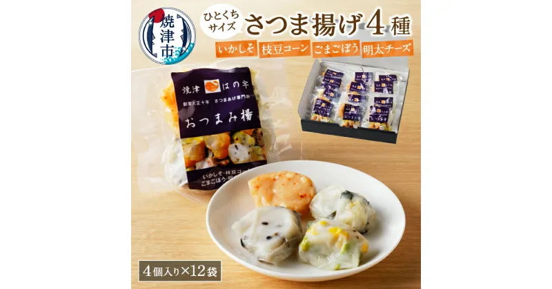 【ふるさと納税】 練物 魚 焼津 ひとくち セット 4種 詰合せ 正規品 個包装 12P 福袋 a10-569